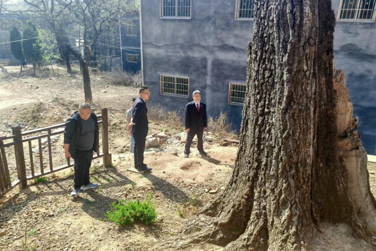 “驛遂”聯(lián)動(dòng) 檢護(hù)青山  共筑防火“長城”