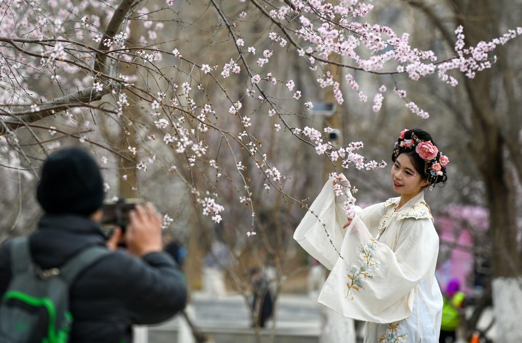從“劇效應(yīng)”到“花經(jīng)濟(jì)” 春日文旅消費(fèi)市場(chǎng)活力滿滿