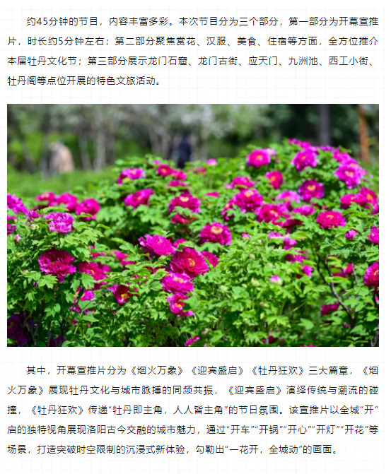 今晚8點(diǎn)，第42屆中國(guó)洛陽牡丹文化節(jié)線上開幕直播特別節(jié)目上演