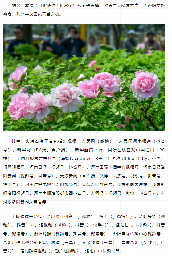 今晚8點(diǎn),第42屆中國(guó)洛陽牡丹文化節(jié)線上開幕直播特別節(jié)目上演
