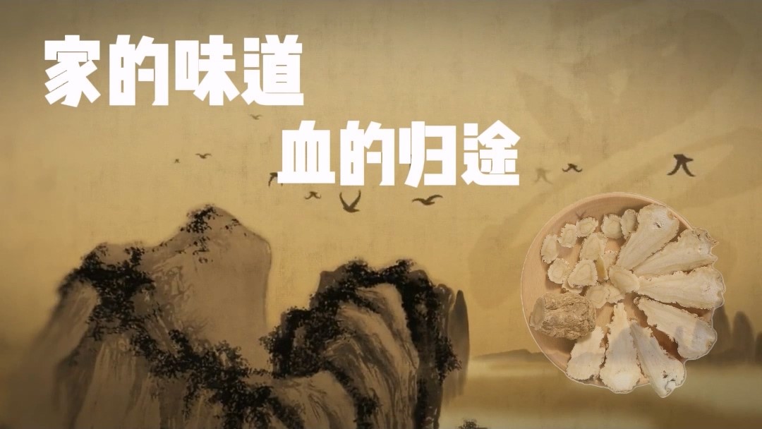 家的味道，血的歸途——駐馬店市中醫(yī)院