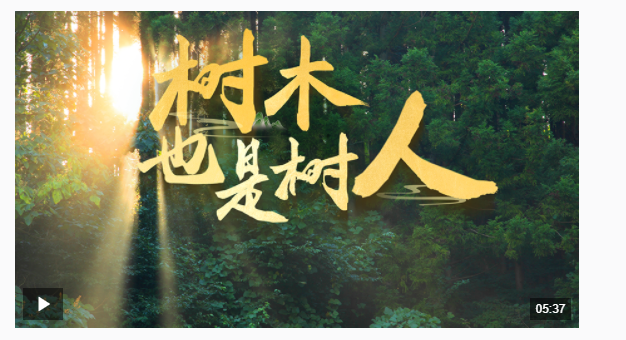 近觀“兩山” | 樹木，也是樹人