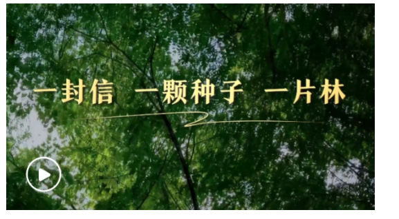  第一視點丨一封信 一顆種子 一片林
