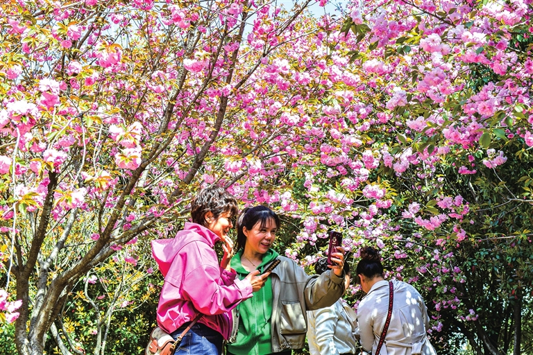 農(nóng)文旅融合賦能鄉(xiāng)村振興