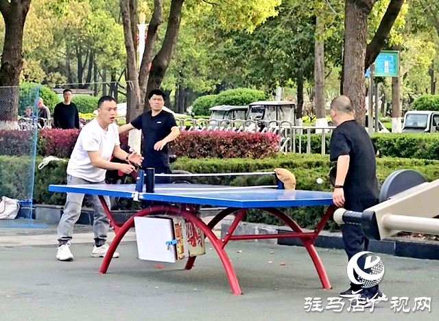暖意襲人！駐馬店本周氣溫沖擊30℃
