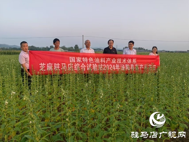 特色油料產(chǎn)業(yè)調(diào)研組到泌陽縣調(diào)研芝麻產(chǎn)業(yè)發(fā)展