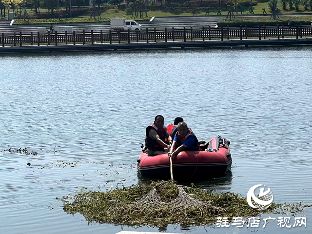 守護一城碧水！確山縣住建局清淤除草保河暢水清