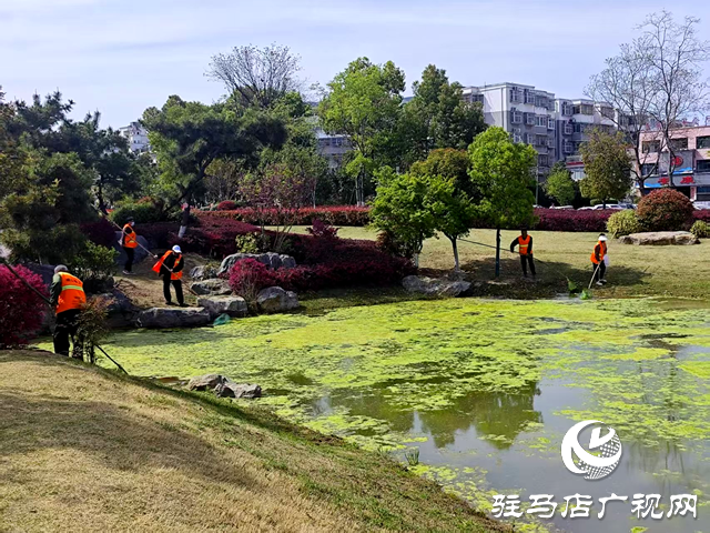 守護一城碧水！確山縣住建局清淤除草保河暢水清