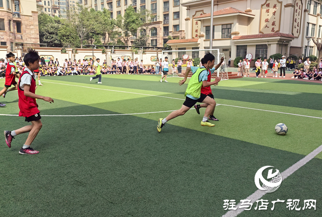 駐馬店市第三十三小學(xué)舉行第三屆體育節(jié)