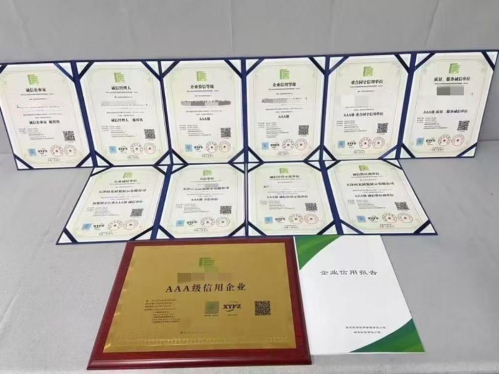今天交錢明天拿證，這種“信用證書”可信嗎？