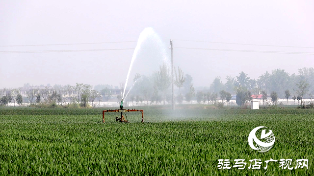 正陽縣寒凍鎮(zhèn)徐莊村：80眼機(jī)井高效運(yùn)轉(zhuǎn) 基層管護(hù)澆出夏糧希望