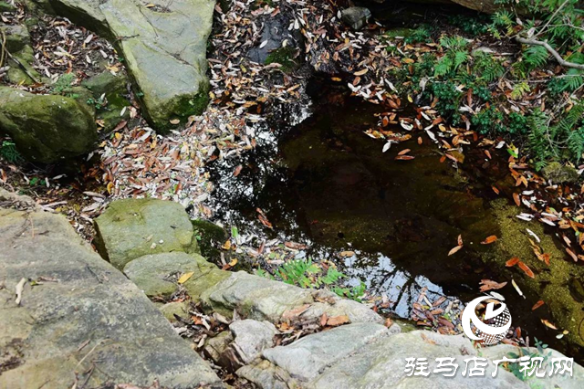泌陽(yáng)老鷹山：四季美如油畫