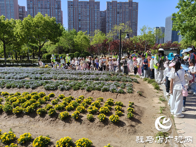 駐馬店經(jīng)濟開發(fā)區(qū)金雀路小學舉行徒步研學活動