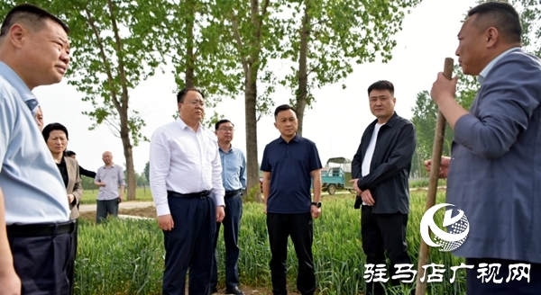 平輿縣委副書(shū)記、縣長(zhǎng)李磊調(diào)研抗旱及“一噴三防”、病蟲(chóng)害防治工作   