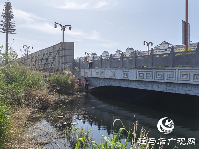 天中義工聯(lián)合會(huì)環(huán)保項(xiàng)目組開展“清潔家園”環(huán)境整治暨集中清理河道垃圾公益活動(dòng)