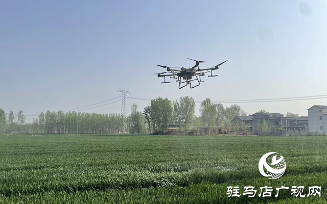 泌陽縣高邑鎮(zhèn)：無人機(jī)助力小麥病蟲害防治
