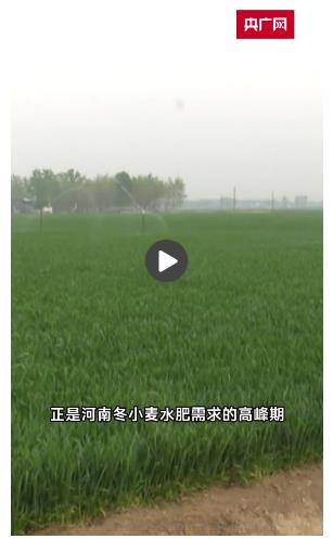 降水緩解部分旱情 河南多部門(mén)行動(dòng)讓小麥“喝飽水”