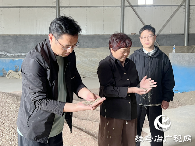 上蔡新農(nóng)人林卡：黑小麥磨出金色未來 打造綠色產(chǎn)業(yè)鏈助農(nóng)奔小康