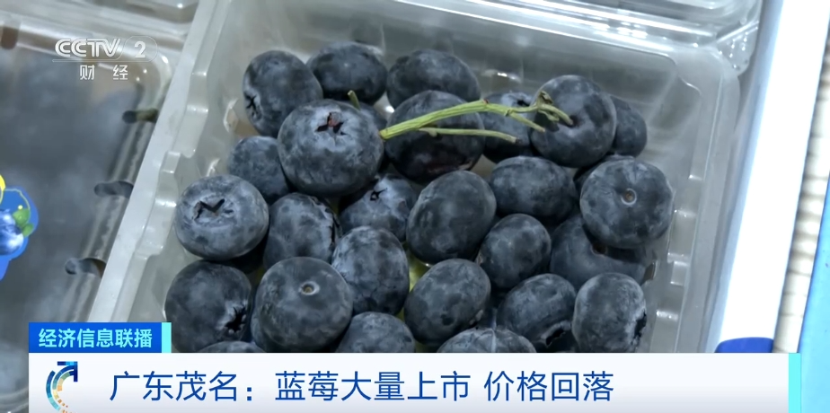 藍莓價格“腰斬”！每天吃一盒會發(fā)生什么？皮膚真的會變白嗎？