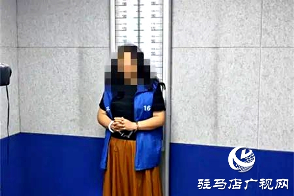 平輿縣人民法院：破曉而行，集中執(zhí)行持續(xù)“升溫”