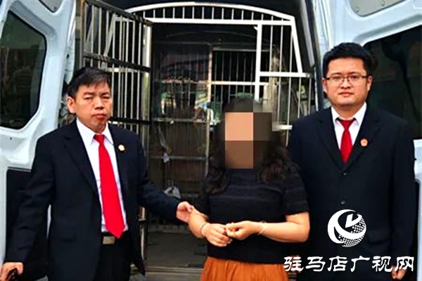 平輿縣人民法院：破曉而行，集中執(zhí)行持續(xù)“升溫”
