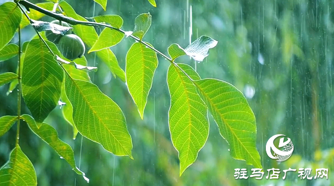 初夏：描繪時(shí)光的溫柔畫卷