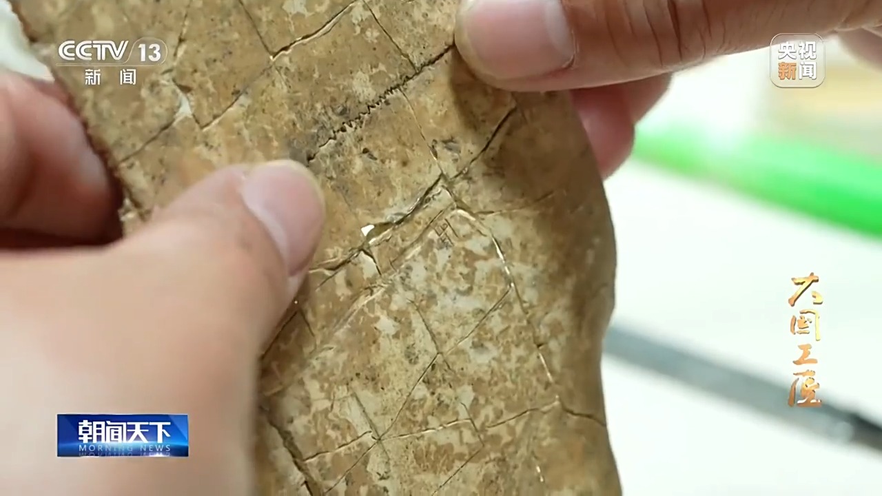 大國(guó)工匠·向新而行丨一片甲骨驚天下 她用墨拓讓商王朝的“朋友圈”清晰可見