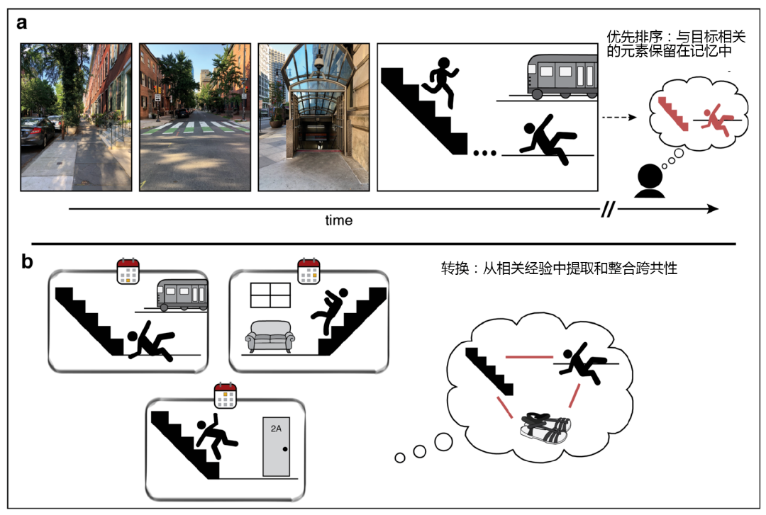警惕！6個(gè)常見習(xí)慣，正在悄悄“偷走”你的記憶力
