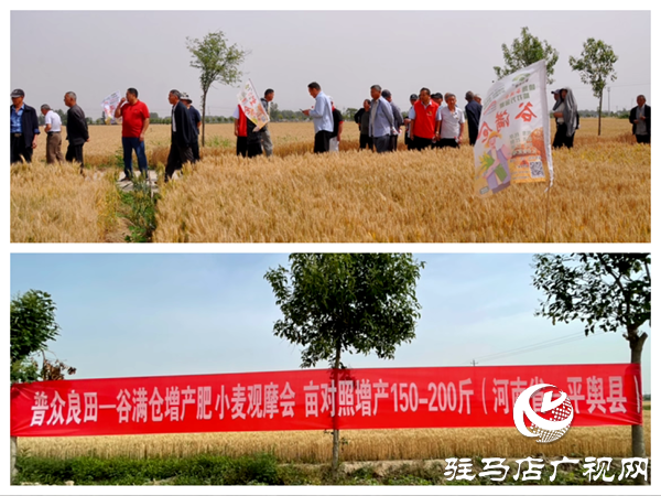 普眾良田農(nóng)業(yè)科技有限公司成功舉辦谷滿倉增產(chǎn)肥種植技術(shù)交流會(huì)暨VIP客戶答謝會(huì)