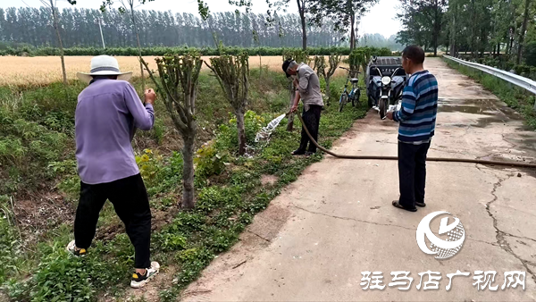 平輿縣李屯鎮(zhèn)：科學(xué)防范“干熱風(fēng)” 全力守護(hù)小麥生長(zhǎng) 