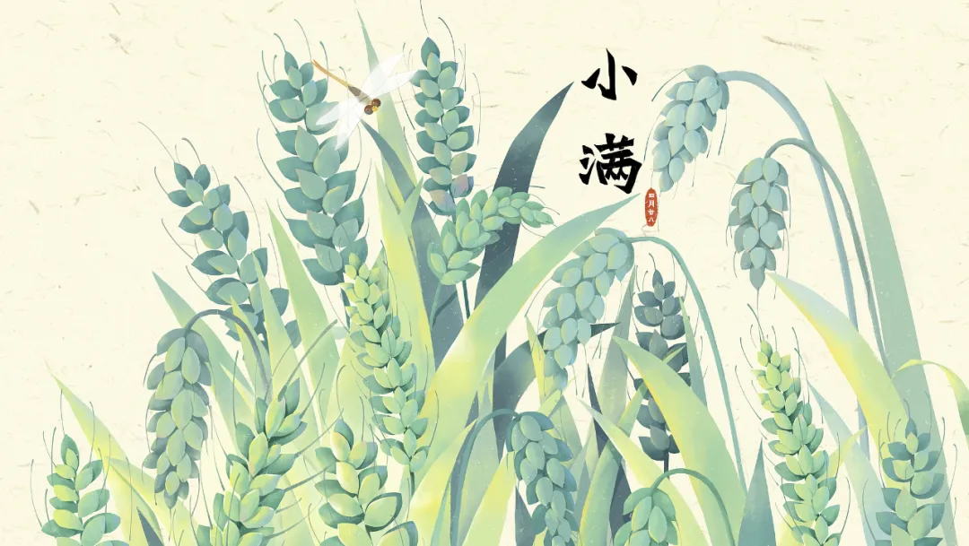 今日小滿：小得盈滿，萬物可期