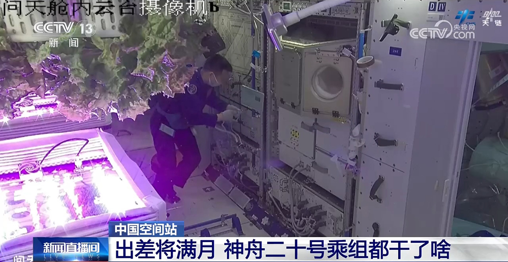 出差將滿月 一起看神舟二十號乘組都干了啥