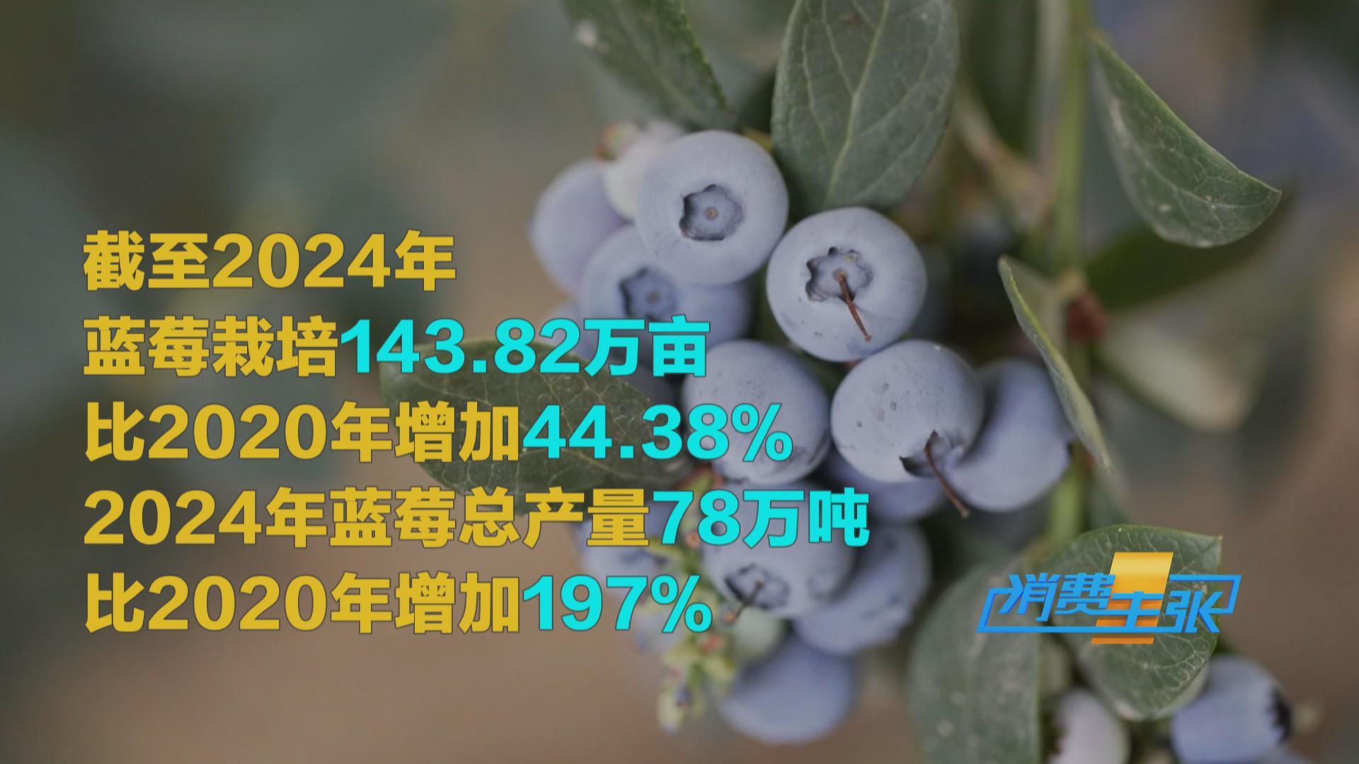 榴蓮價格走低 首批國產(chǎn)“樹上熟”榴蓮也將上市！口感如何？