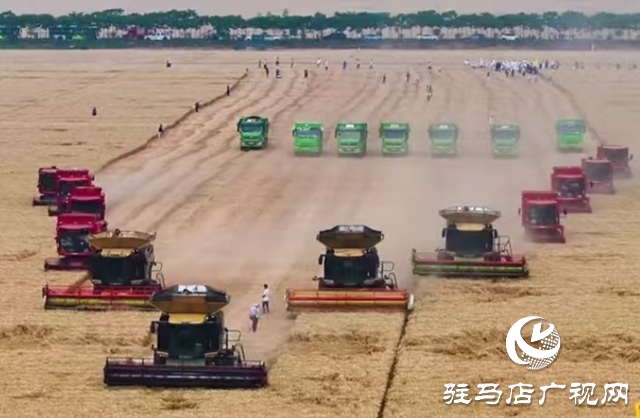 西平縣舉辦2025年小麥機收減損大比武活動現(xiàn)場會