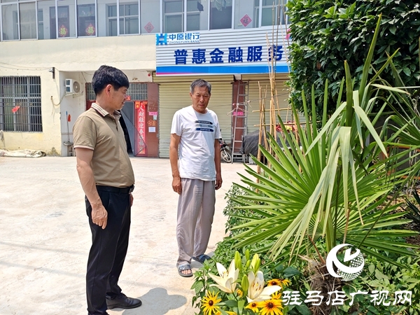 文明鄉(xiāng)風(fēng)潤沃土——平輿縣辛店鄉(xiāng)韓坡村獲評第七屆全國文明村鎮(zhèn)紀(jì)實