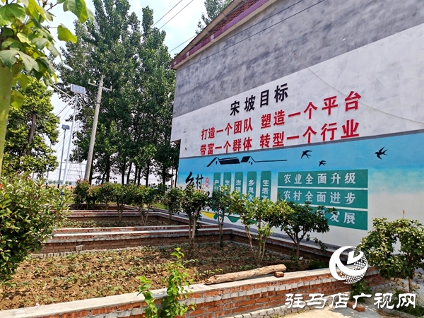 文明鄉(xiāng)風(fēng)潤沃土——平輿縣辛店鄉(xiāng)韓坡村獲評第七屆全國文明村鎮(zhèn)紀(jì)實