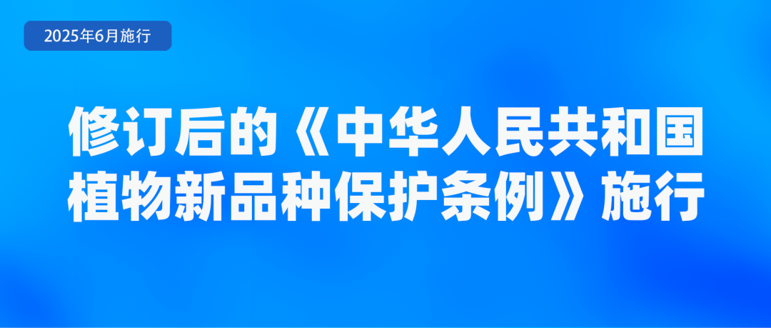 6月起，這些新規(guī)將影響你我生活！