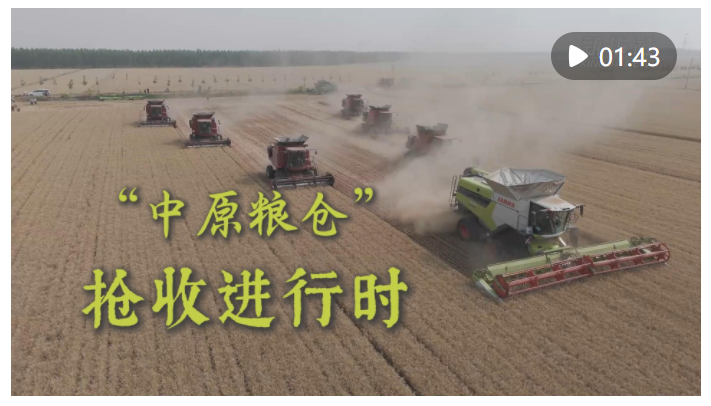 新華全媒+｜“中原糧倉”搶收進(jìn)行時(shí)