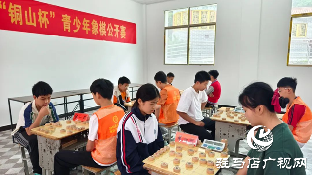 泌陽縣舉行第一屆青少年象棋公開賽
