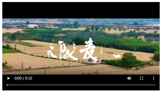 Z特寫 | 宋陵麥?zhǔn)? width=
