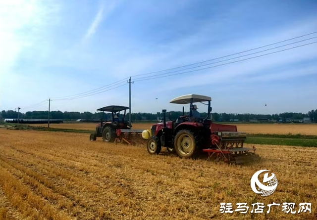 泌陽(yáng)縣郭集鎮(zhèn)：玉米大豆間作增效 科技賦能穩(wěn)糧增產(chǎn)