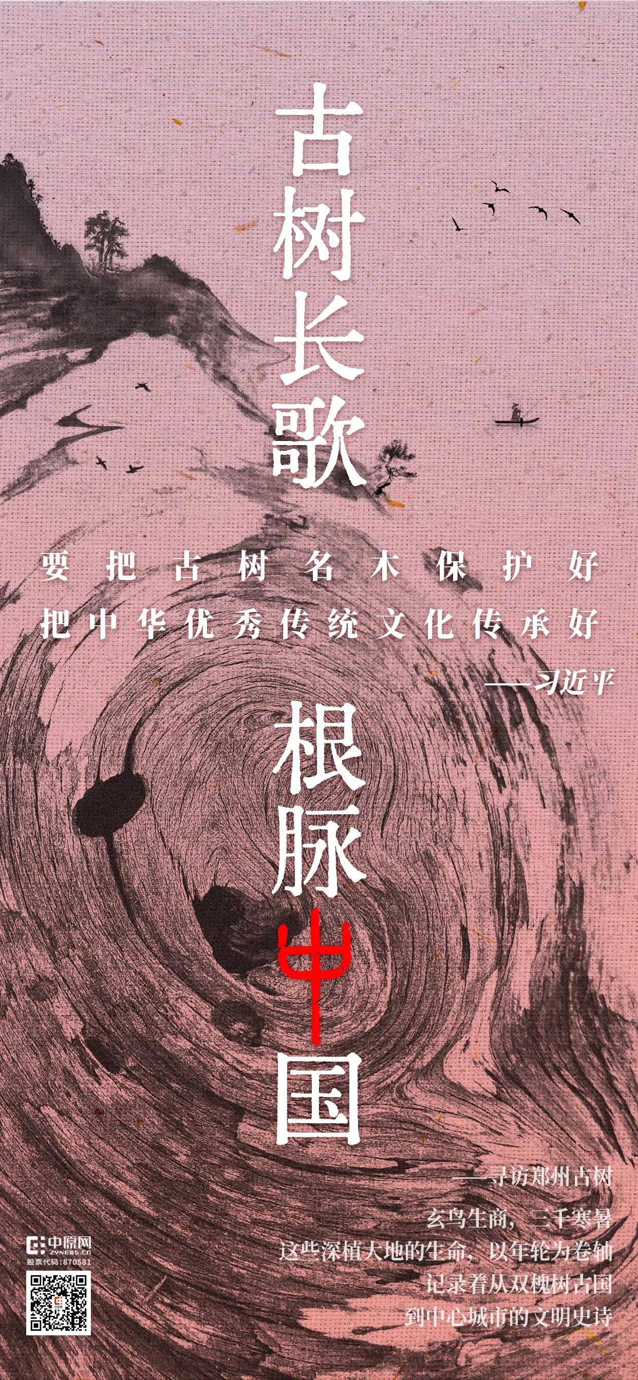把古樹唱成歌，“古樹長歌”策劃引發(fā)“薦樹”熱潮