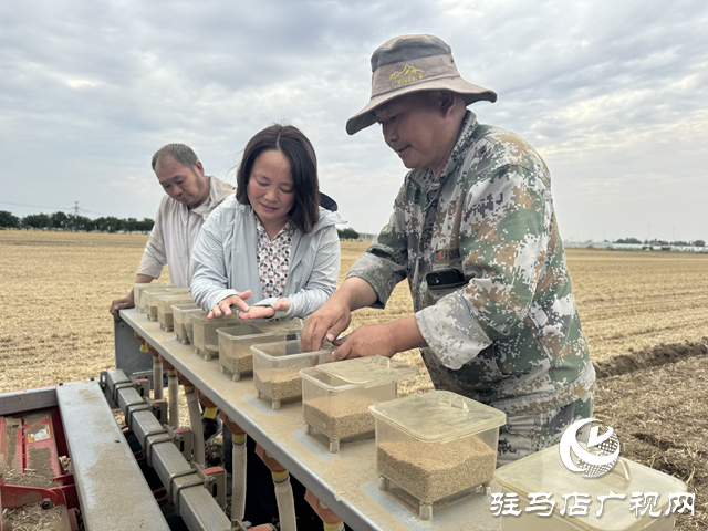 駐馬店驛城區(qū)：新農(nóng)機(jī)新模式繪就夏種新圖景 搶墑播種全力沖刺秋糧豐收