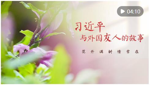 習(xí)近平與外國友人的故事｜花開滿樹情常在