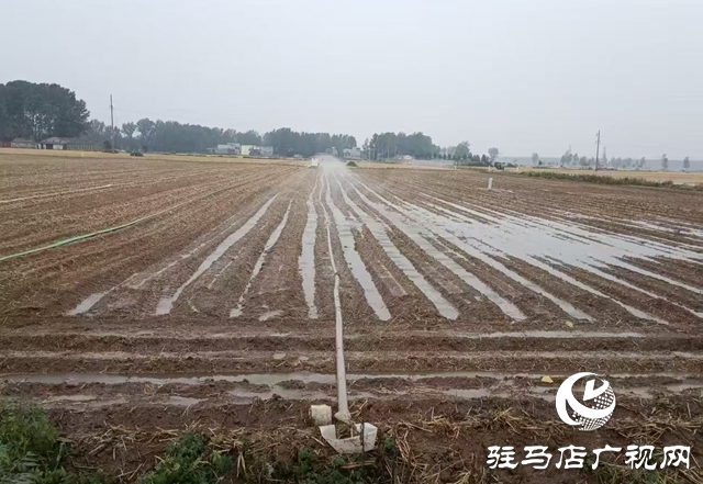  戰(zhàn)高溫保三夏：西平縣柏城街道積極行動