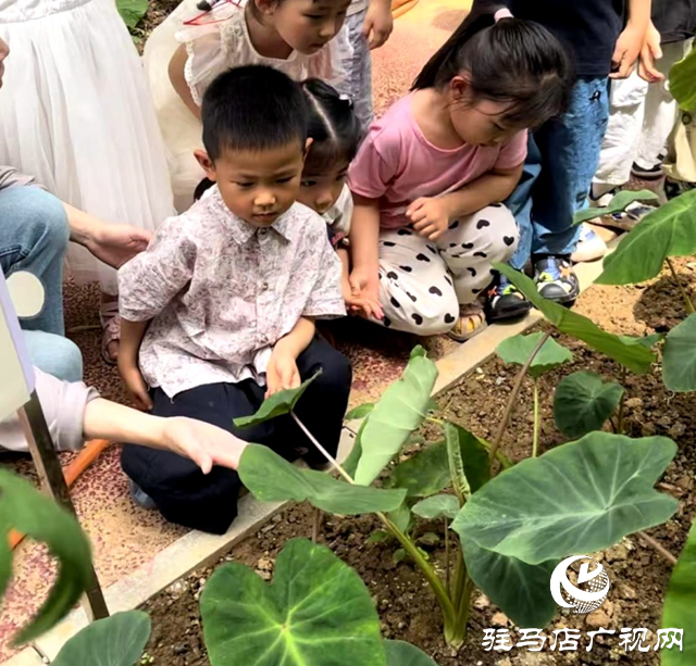 踐行《學前教育法》書寫育人新篇章
