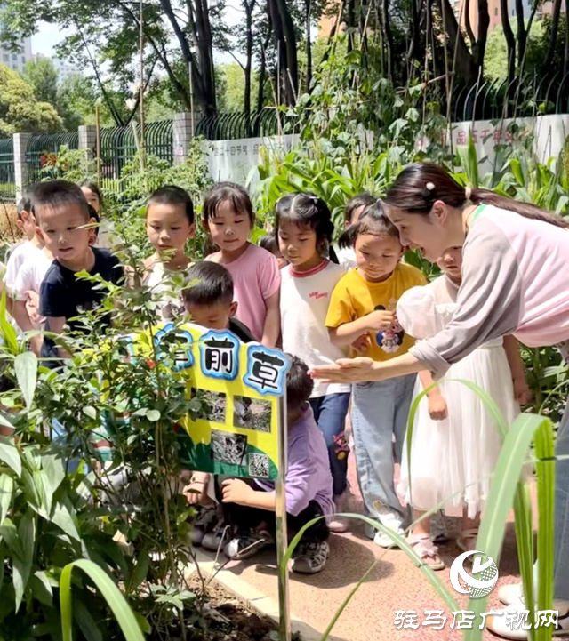 踐行《學前教育法》書寫育人新篇章