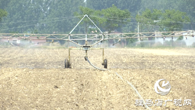 上蔡縣：科技賦能農業(yè)顯成效 智能灌溉助秋糧穩(wěn)產