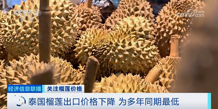 降！降！降！榴蓮多年來最低價的背后是這些原因→