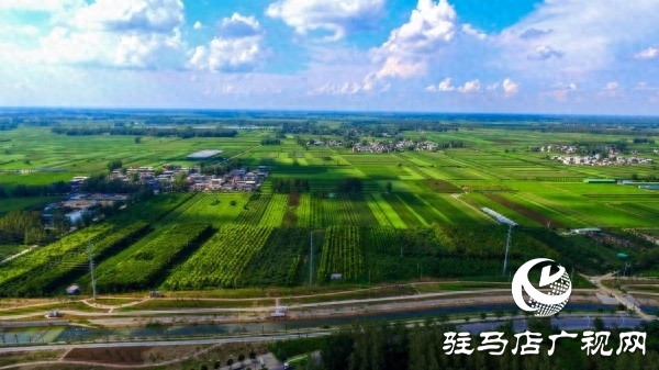 “全國文明城市”平輿縣以創(chuàng)新實踐書寫文明答卷